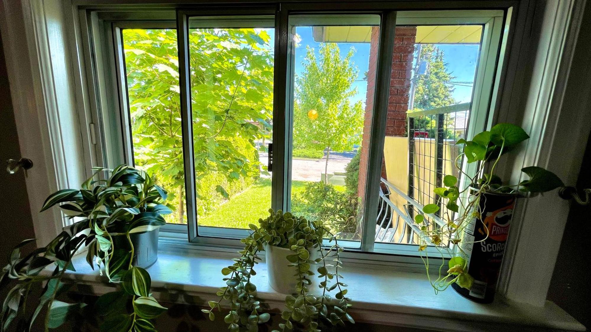 טורונטו Glengrove Cozy Home מראה חיצוני תמונה